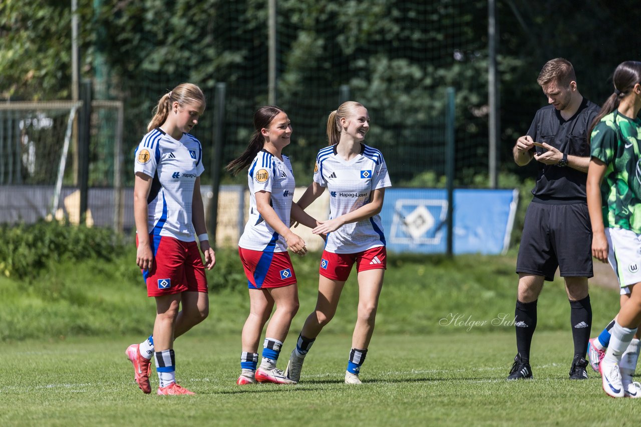 Bild 169 - wBJ Hamburger SV - VfL Wolfsburg : Ergebnis: 5:1
